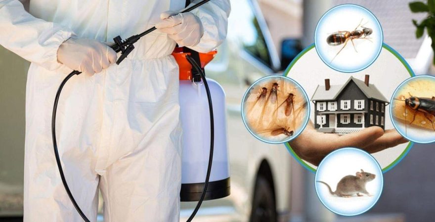 Elmalı Böcek İlaçlama