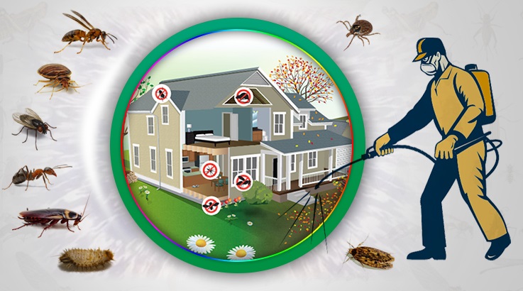 Elmalı Böcek İlaçlama