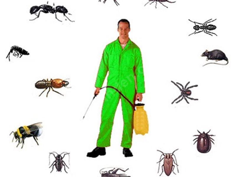 Elmalı Böcek İlaçlama